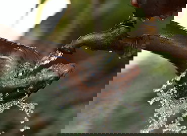 运动损伤检测智能仪器